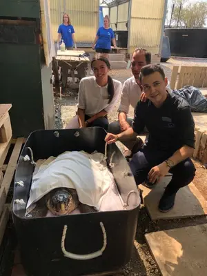a group of people sitting next to a turkey in a suitcase at Palmyra Beach Hotel in Athens