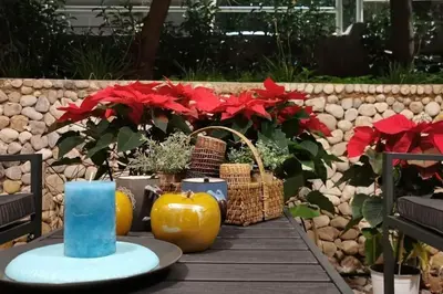 a table with pumpkins and plants on a patio at Elegant Seaside 2 Floor Apartment in Athens