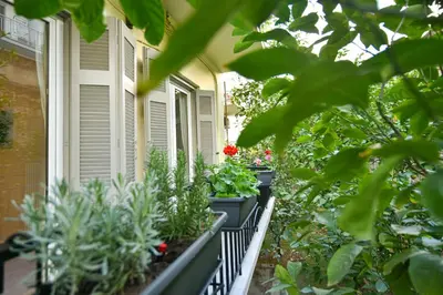a balcony with pots of plants on it at NewVintage Apartment in Athens