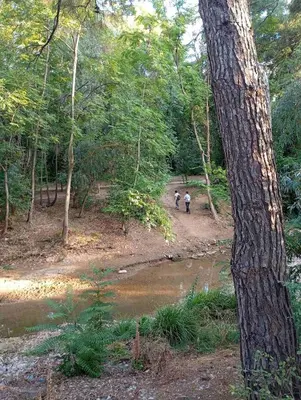 two people walking down a dirt path in a forest at Διαμέρισμα studioJoy4stay στο Χαλάνδρι in Athens