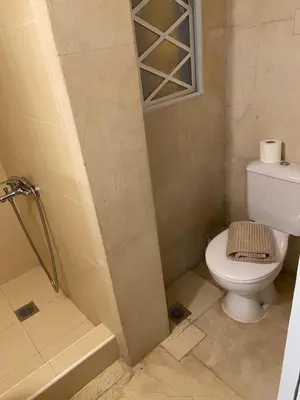 a bathroom with a toilet and a walk in shower at Graffiti Ground Floor in Athens
