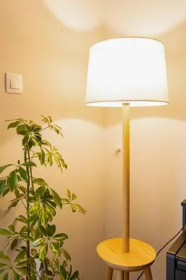 a lamp sitting on a table next to a plant at Heart of Koukaki flat, 10’ walk to Acropolis in Athens