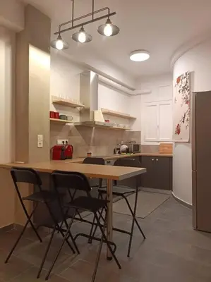 a kitchen with a table and chairs and a refrigerator at GAYA apartments in Athens
