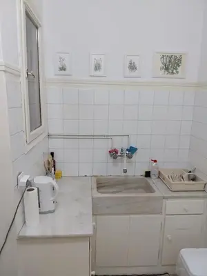 a small white kitchen with a sink and a sink at Park-view apartment in Athens