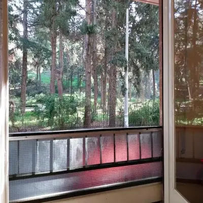 Park-view apartment