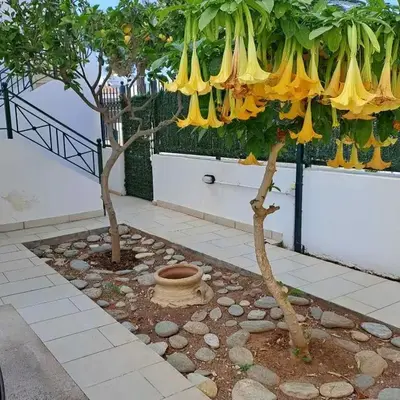 Dimitris place near Athens airport