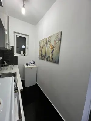 a white kitchen with a sink and a painting on the wall at Beautiful Studio With Private Yard in Athens