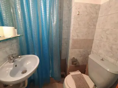 a bathroom with a sink and a toilet and a shower at Delfini Hotel in Piraeus