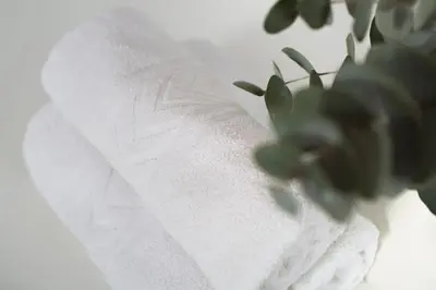 a white towel sitting next to a potted plant at Metropolis B2 -Γοητευτική Σουίτα in Athens