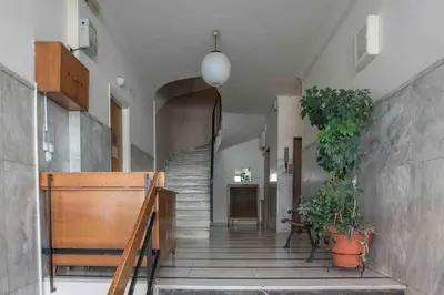 a hallway with a staircase and a potted plant at Αlpha- Αthenian apartments in Athens