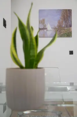 a plant in a white pot on a glass table at Unforgettable Acropolis View in Athens
