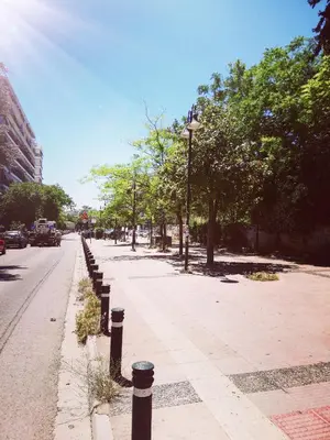 a city street with trees and a street light at Roulas house Διαμέρισμα Κέντρο Σεπόλια ΜΕΤΡΟ in Athens