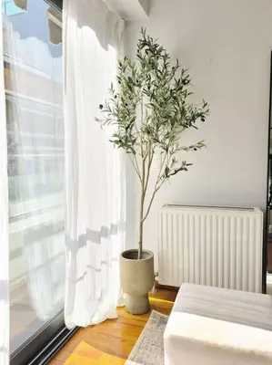 a potted tree in a room with a window at Modern Loft Build on Acropolis Ruins in Athens
