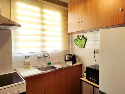a small kitchen with a sink and a window at Elia Studio in Athens