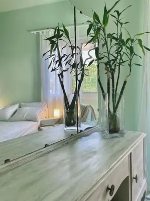 two vases with plants on a dresser in a bedroom at Feels like home (Vari) in Vari