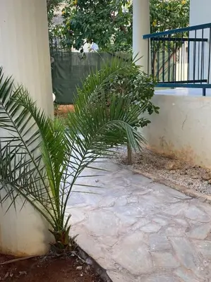 a couple of palm trees sitting next to a house at Feels like home (Vari) in Vari