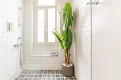 a bathroom with a potted plant in a shower at Oasis Architect's Dream Neoclassical House next to Acropolis in Athens