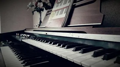 a black and white piano with a vase of flowers at Poseidonio in Piraeus