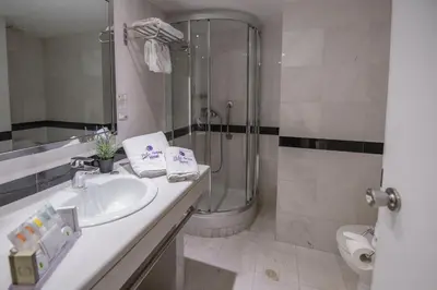 a bathroom with a sink and a shower and a toilet at Polis Grand Hotel in Athens