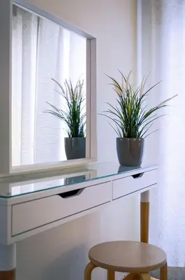 a glass counter with two plants in a window at Beautiful 2bd apartment near historic center of Athens in Athens