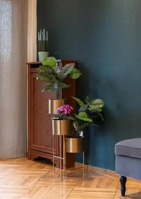 a room with two potted plants on a wall at Acropolis Prestige Residence in Athens