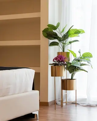a bedroom with two plants on a stand next to a window at Acropolis Prestige Residence in Athens
