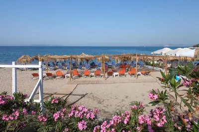 a beach with chairs and umbrellas and the ocean at Tropical Hotel in Athens