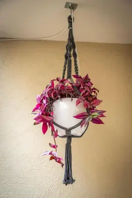 a heart shaped flower basket hanging on a wall at Filopapou Pearl on Acropolis Hill in Athens