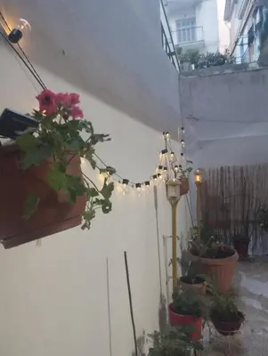 a string of lights on a wall with potted plants at Renovated Basement Duplex with Patio and Folk Decor in the Heart of Athens in Athens