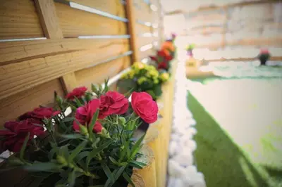 a bunch of red flowers on a wall at Cozy Apartment in the heart of Athens! in Athens
