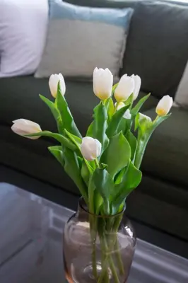 a vase filled with white flowers on a table at Sun & Sea Suite, Kavouri in Athens
