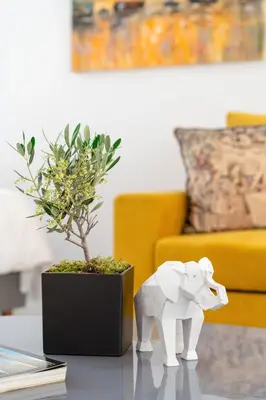 a toy elephant sitting on a table next to a plant at Olvar Suites in Athens