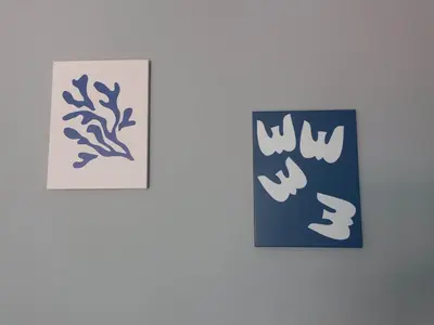 two framed pictures of seaweeds on a wall at Staying besides Acropolis! in Athens