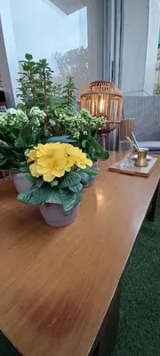 a wooden table with two large pots of flowers on it at 115m2 K.G HOME in Athens