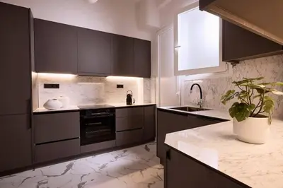 a kitchen with black cabinets and a potted plant at Acropolis Museum Grand Residence in Athens