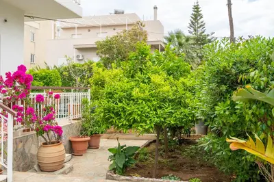 a garden with plants and flowers in pots at Spacious 2 bedroom apartment at Glifada in Athens