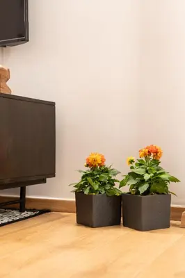two black pots with flowers in front of a tv at Acropolis Exclusive Apartment in Athens