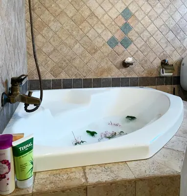 a bath tub with flowers painted on the inside of it at Vintage Manor in Anavissos