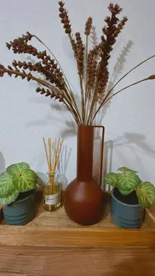 a wooden shelf with a vase with plants on it at Marina Zeas Seaside Studio-MarinaQ in Piraeus