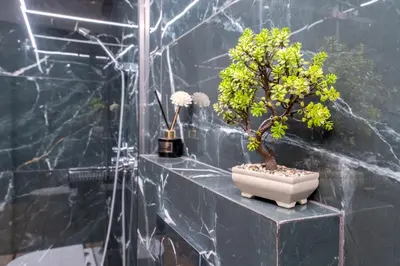 a small tree in a pot on a wall at Acropolis Luxurious Legacy in Athens