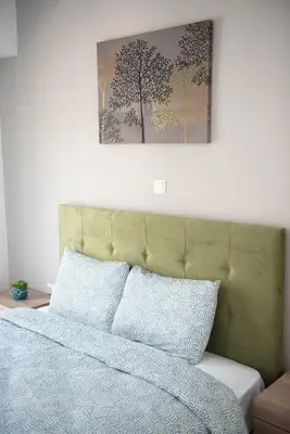 a bed with a green headboard with a picture above it at Cozy flat 5min to subway station (EPIDAMN) in Athens