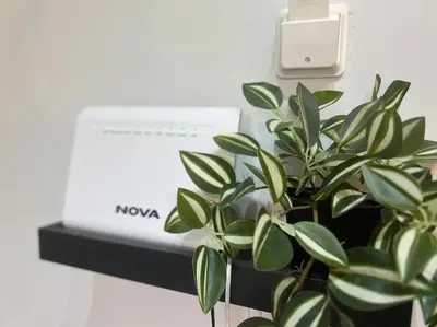 a plant sitting on a shelf next to a box at Chic apt near Acropolis - Avdi square in Athens