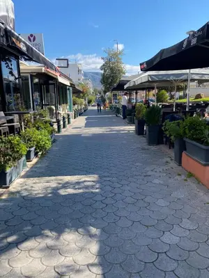 a cobblestone street with potted plants and shops at Athens Victoria's studio in Athens