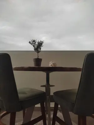 a table with two chairs and a potted plant on it at Dafnis View in Athens