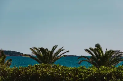 two palm trees in front of a body of water at Athens-Riviera apartment in front the sea Voula in Athens