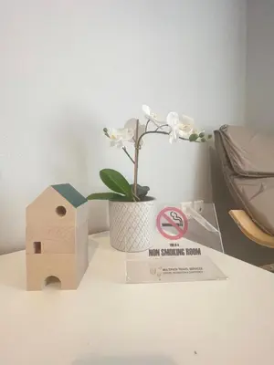 a table with a bird house and a no smoking sign at Hermes - Acropolis Residence Apartment in Athens