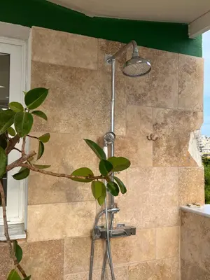 a shower in a bathroom with a plant at Luxurious 2-Bed Seaside Apartment in Saronida in Saronida