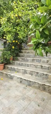 a set of stone stairs with plants and flowers at Divine Home Beach Retreat in Anavissos