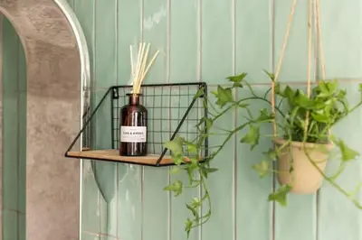 a bottle on a shelf on a wall with plants at Athens Acropolis View in Athens