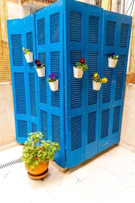 a blue door with potted plants on it at Oasis in the centre in Athens